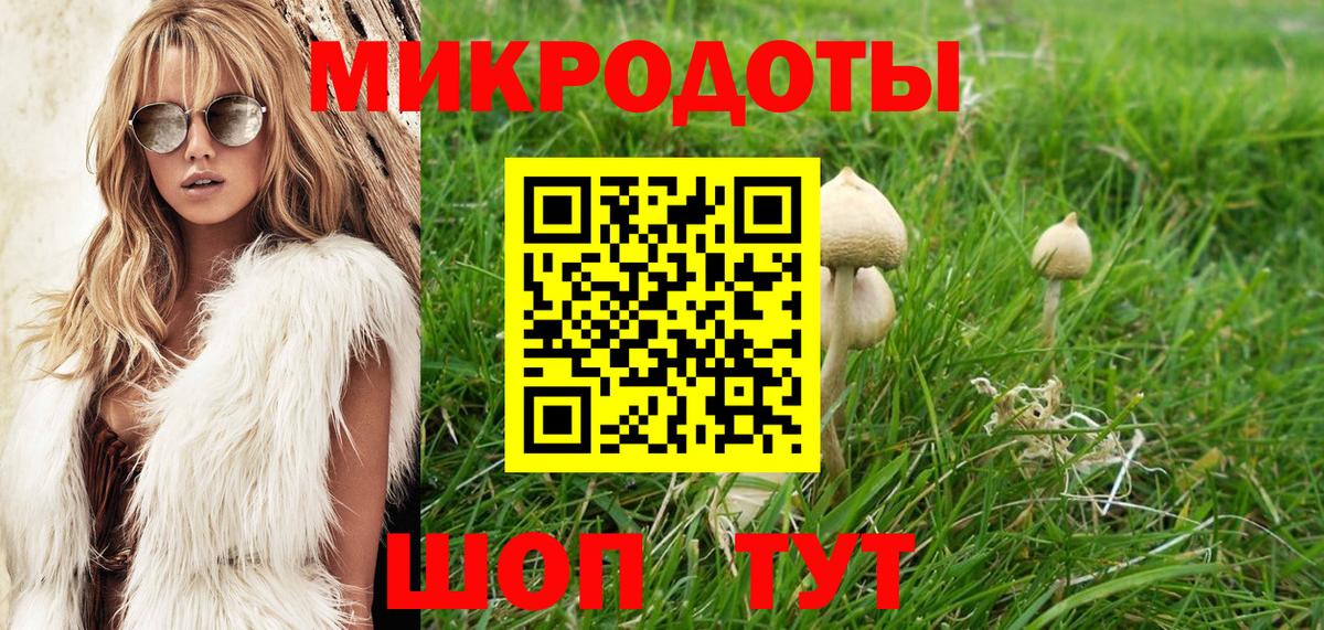 Сочи  Псилоцибиновые грибы MAGIC MUSHROOMS  Вход с VPN 